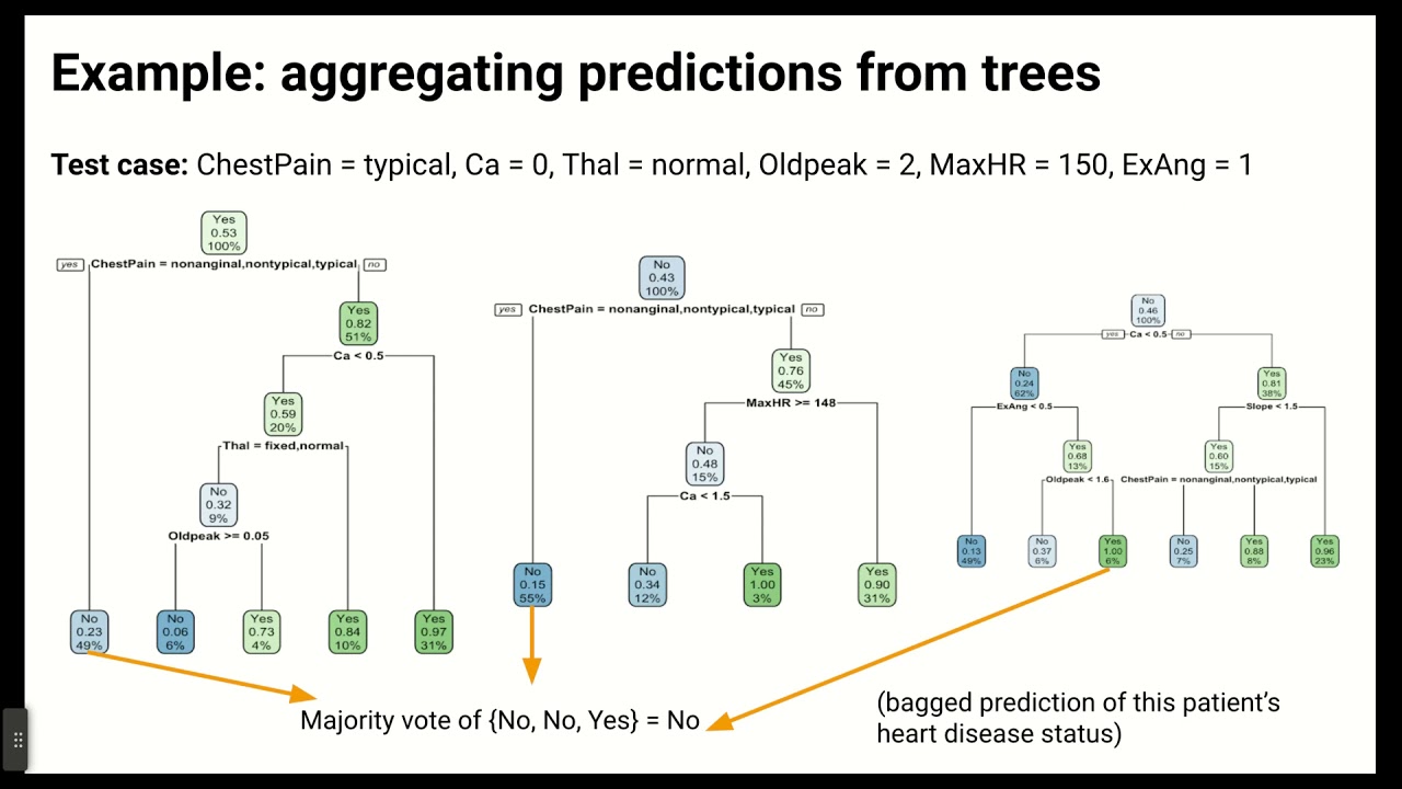 Bagged Trees: A Machine Learning Algorithm Every Data Scientist Needs | by  Rob W | Towards Data Science